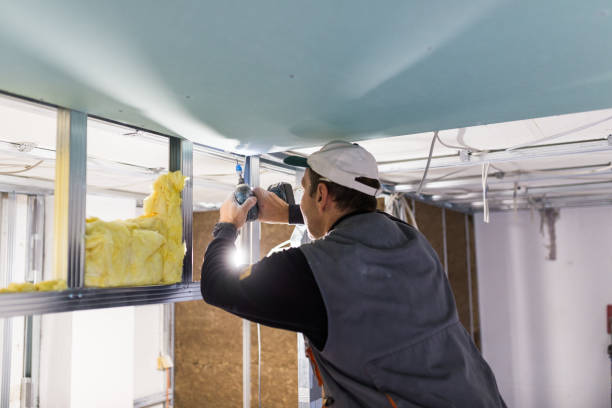 Best Insulation Maintenance and Repair in Landis, NC