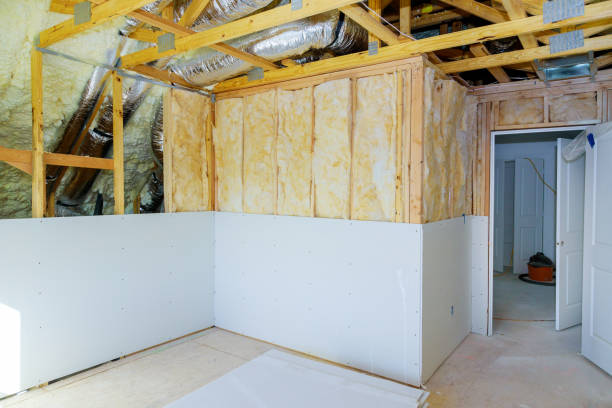 Best Specialized Insulation Services in Landis, NC