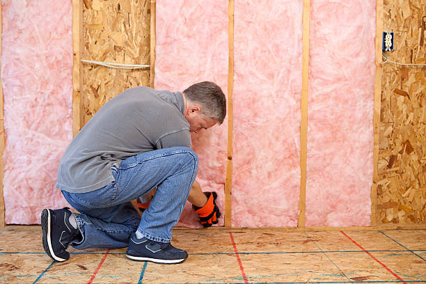 Best DIY Insulation Kits and Guidance in Landis, NC