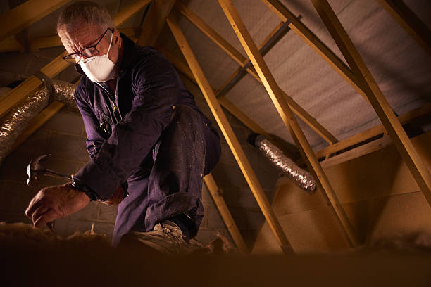 Types of Insulation We Offer in Landis, NC